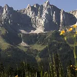 Gasthof Weberbauer 
