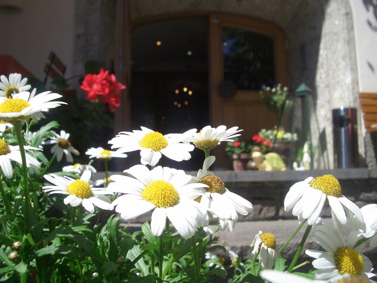 Hotel Weberbauer 3*